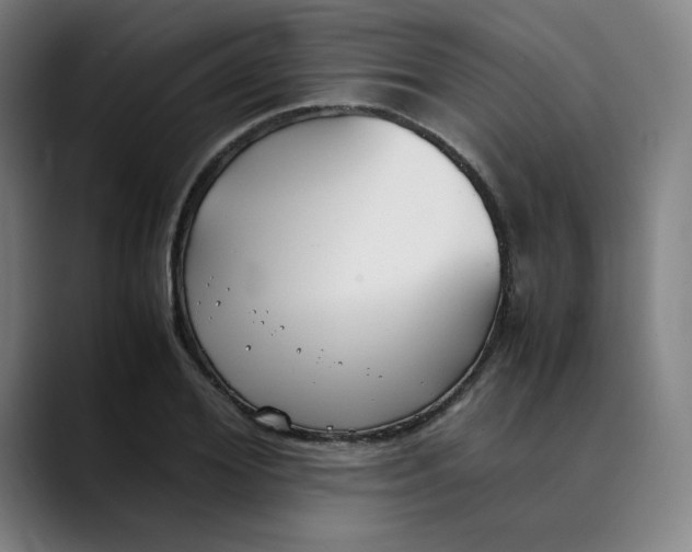 X0000089350980200707131528