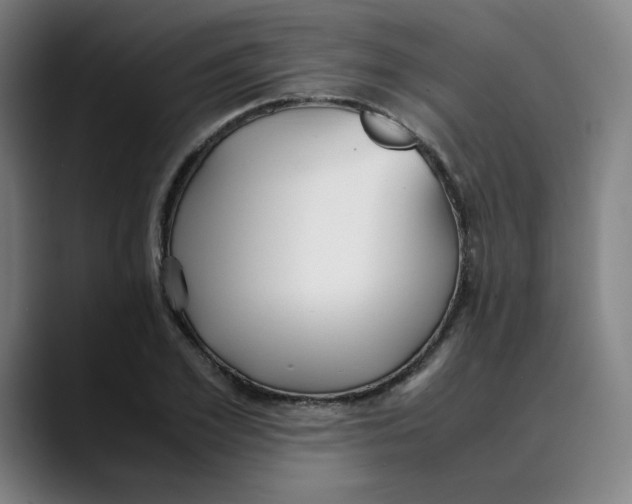 X0000089350981200707131528