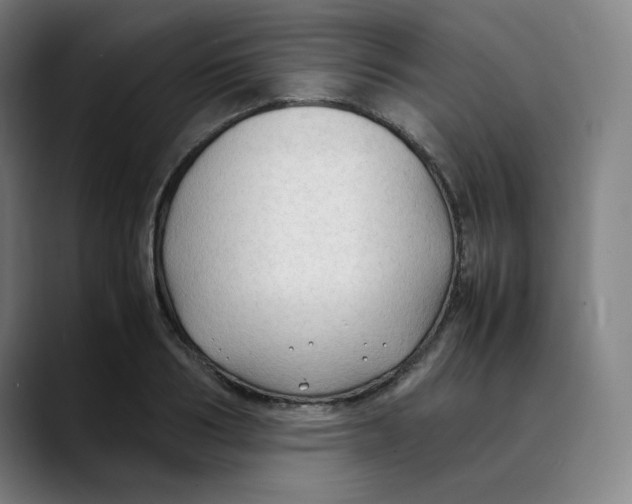 X0000089350986200707131528