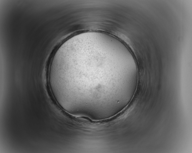 X0000089350987200707131528