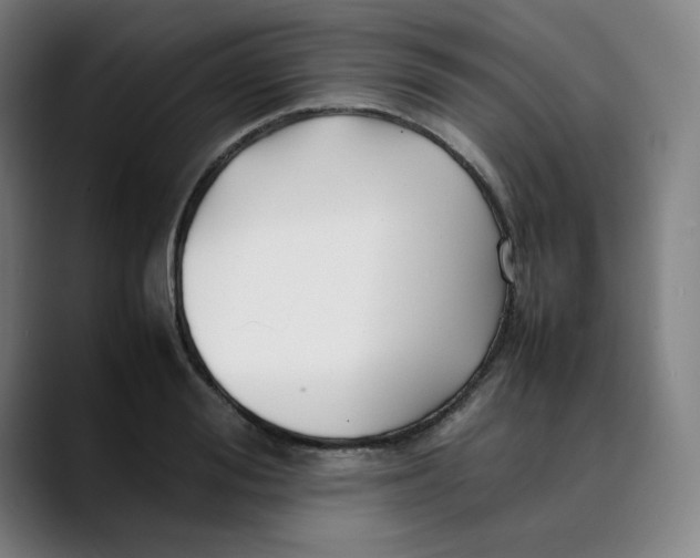 X0000089350988200707131528