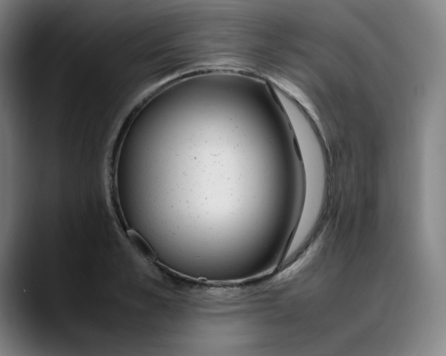 X0000089350989200707131528