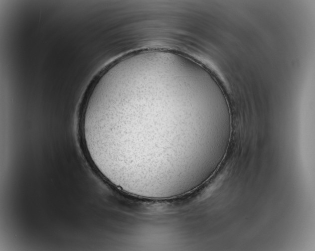 X0000089350991200707131528