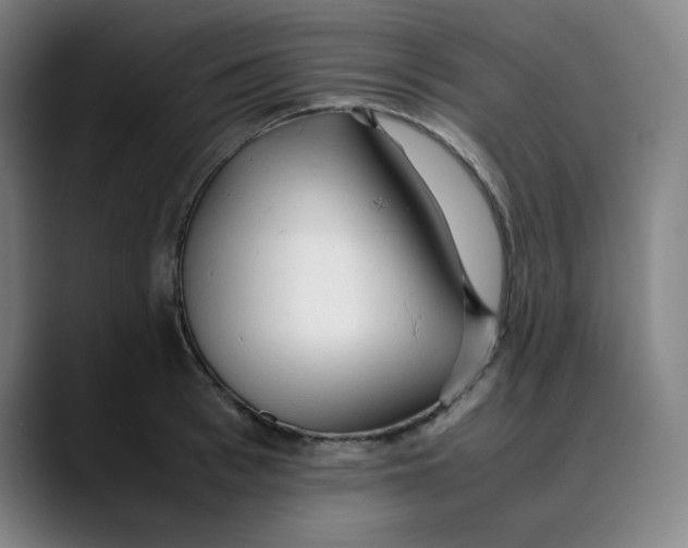 X0000089350993200707131528