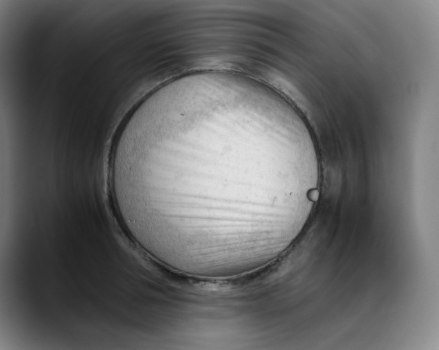 X0000089350994200707131527