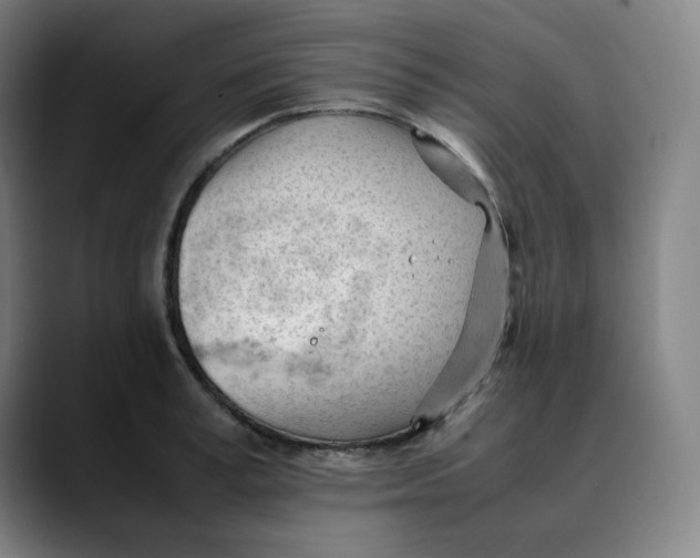X0000089350995200707131527