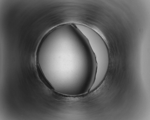 X0000089350996200707131527