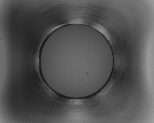 X0000089351000200707131527