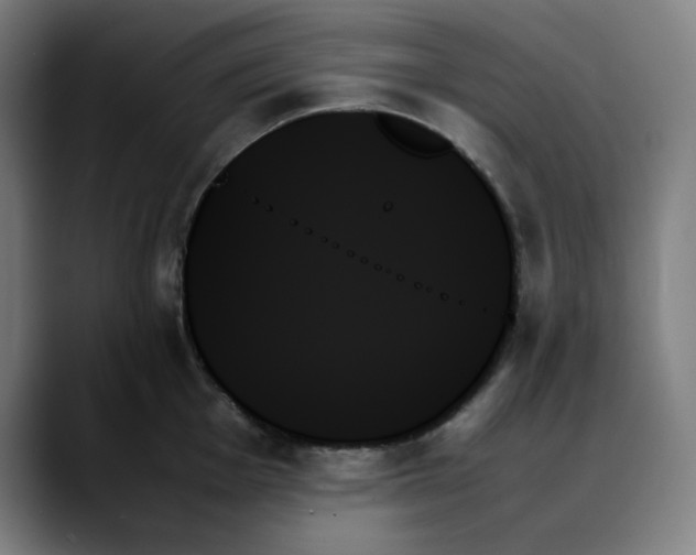 X0000089351001200707131527