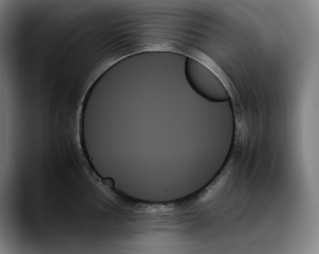 X0000089351002200707131527