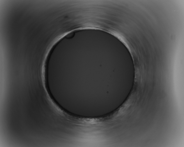 X0000089351003200707131527