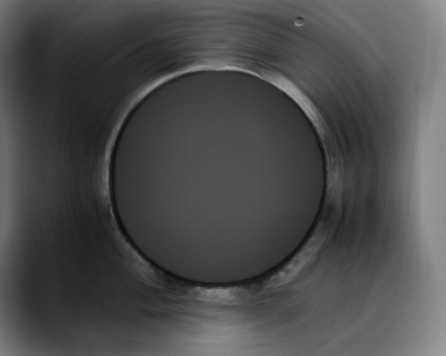 X0000089351004200707131527