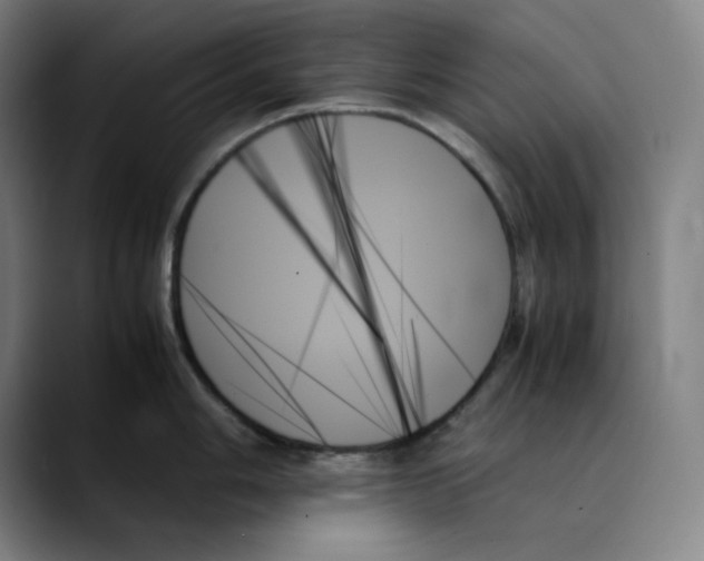 X0000089351006200707131527