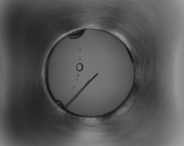 X0000089351007200707131527