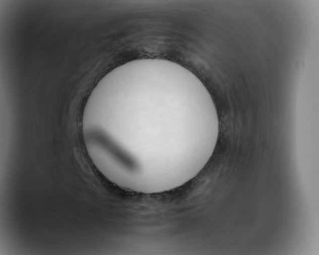 X0000089351009200707131527