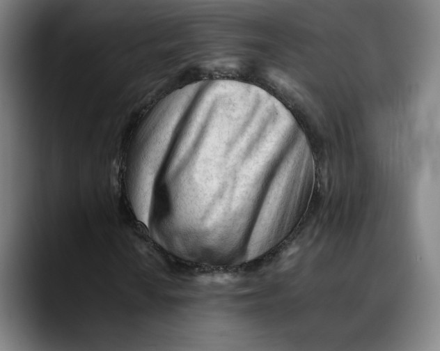 X0000089351010200707131527