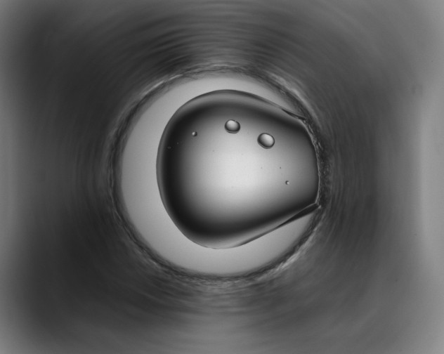 X0000089351018200707131527