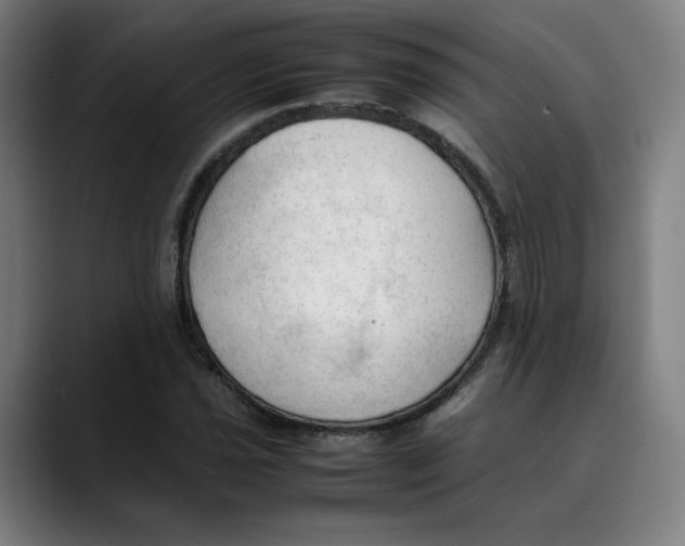 X0000089351021200707131527