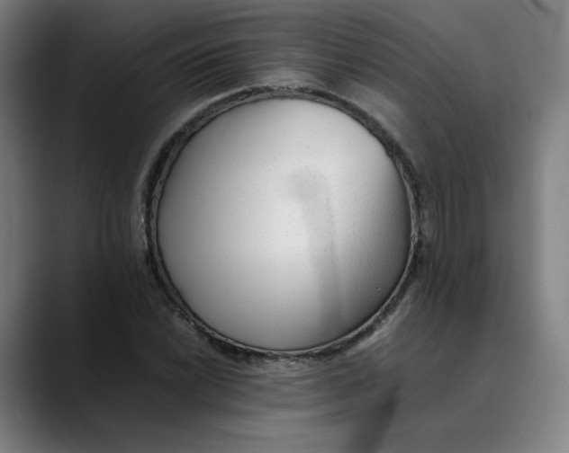 X0000089351022200707131527