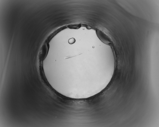 X0000089351024200707131527