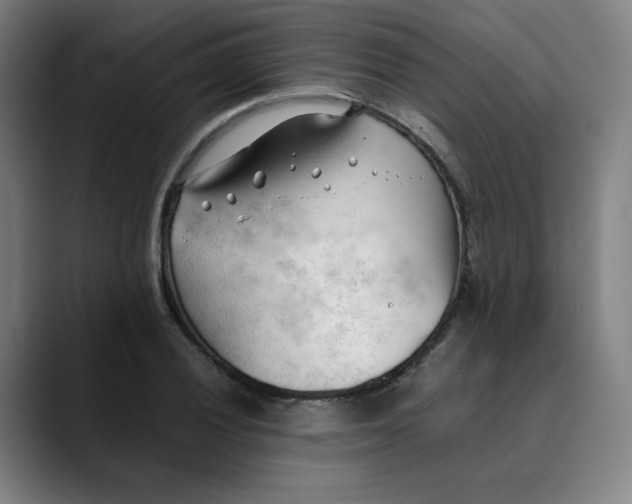 X0000089351028200707131527