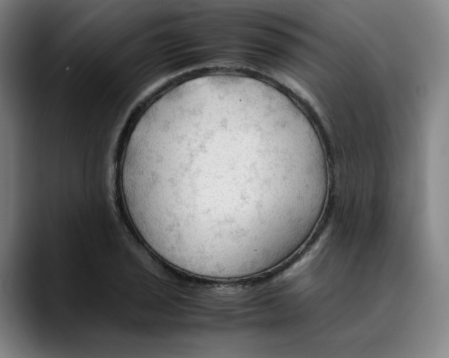 X0000089351029200707131527