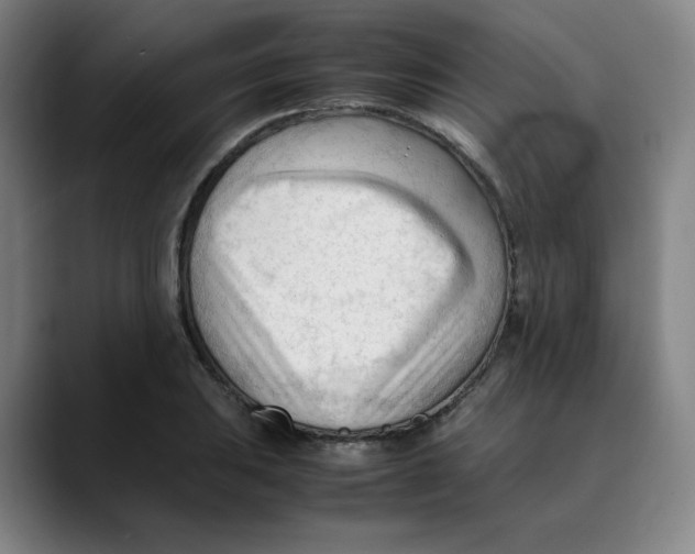 X0000089351031200707131527