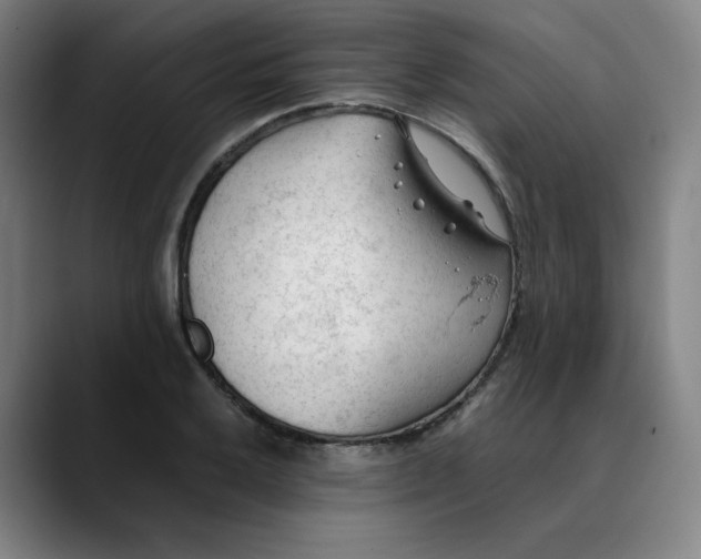 X0000089351032200707131527