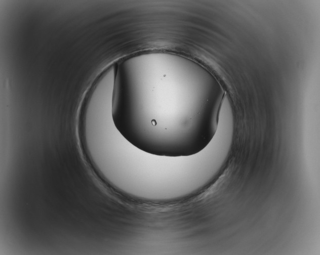 X0000089351034200707131527