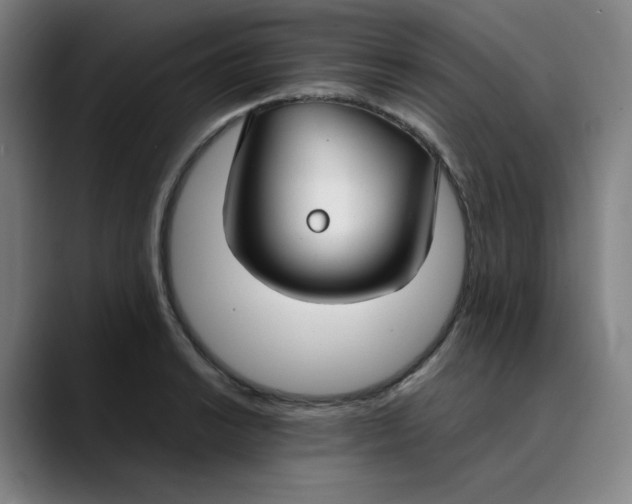 X0000089351038200707131527