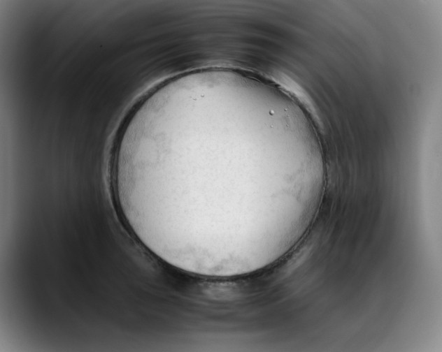 X0000089351043200707131527