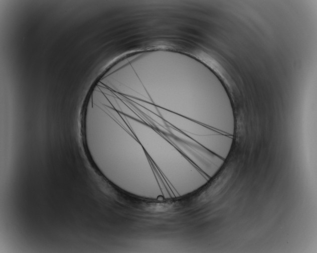 X0000089351047200707131527