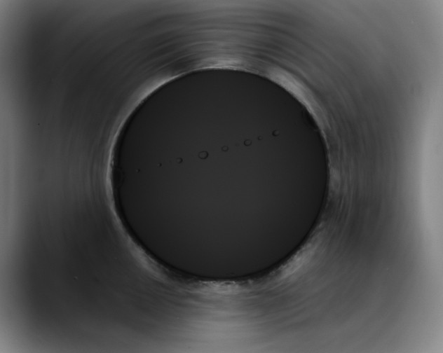 X0000089351050200707131527