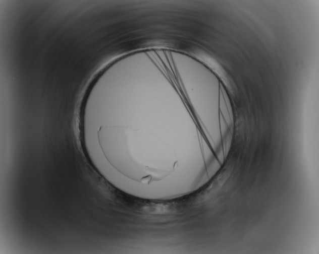 X0000089351051200707131527