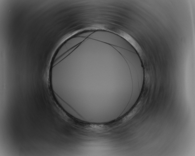 X0000089351052200707131527