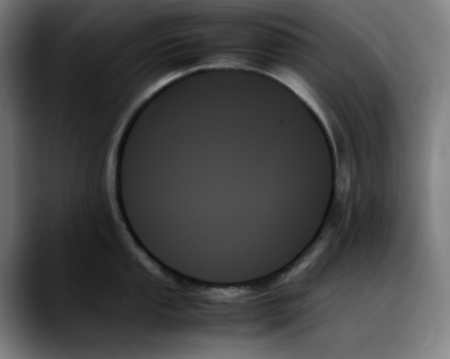 X0000089351053200707131527