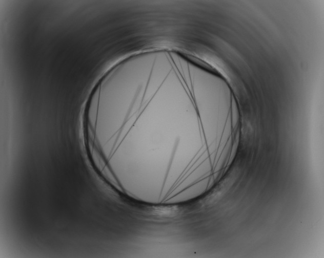 X0000089351055200707131527