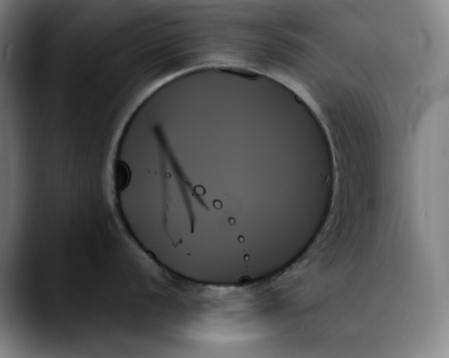 X0000089351056200707131527