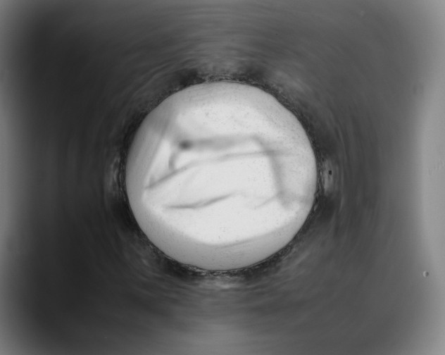X0000089351059200707131527