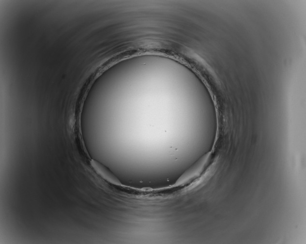 X0000089351065200707131527