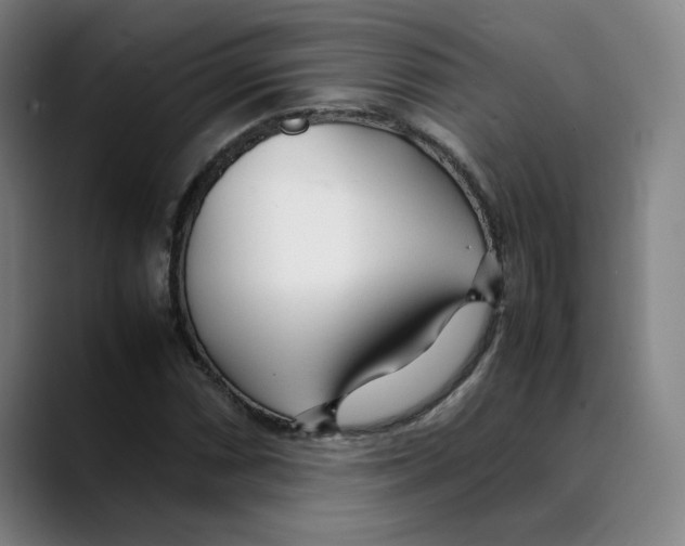 X0000089351066200707131527
