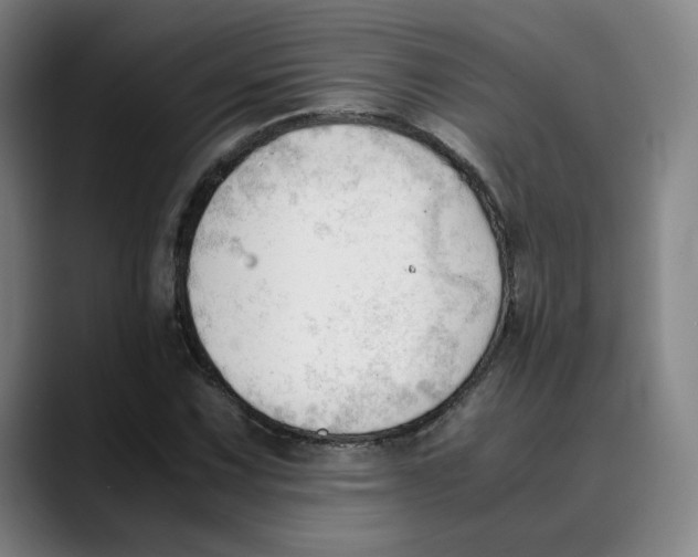 X0000089351067200707131527