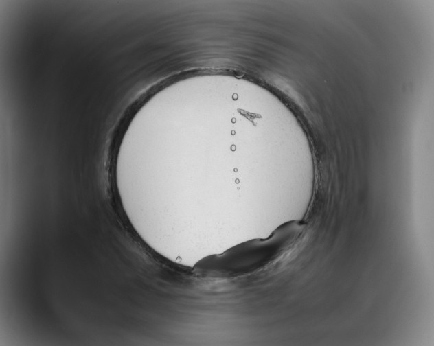 X0000089351071200707131527