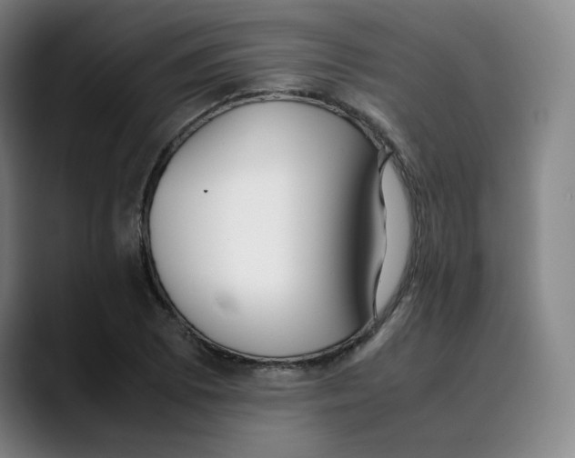 X0000089351073200707131527