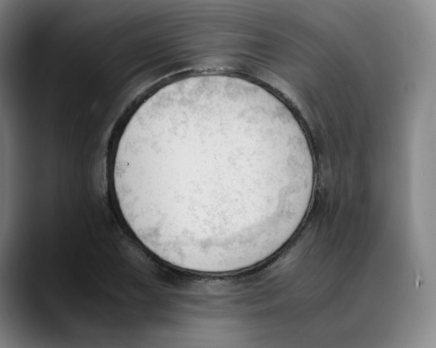X0000089351075200707131527