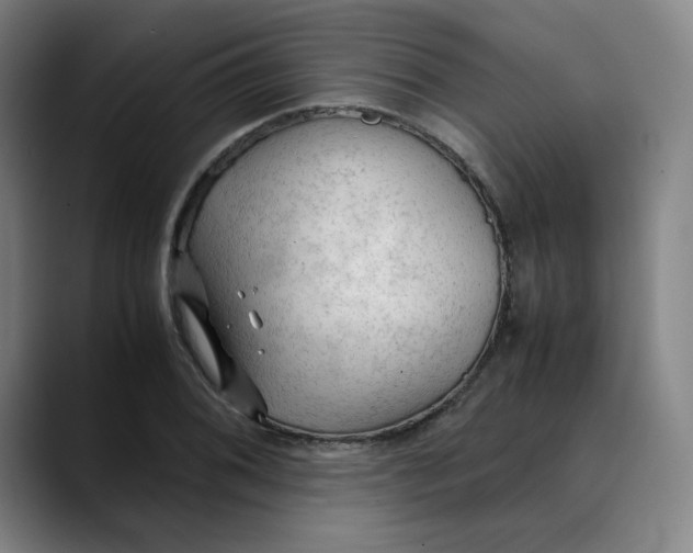 X0000089351076200707131527