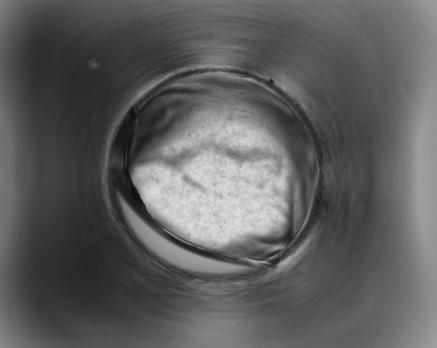 X0000089351077200707131527