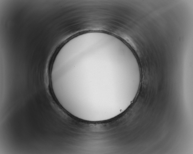 X0000089351080200707131526