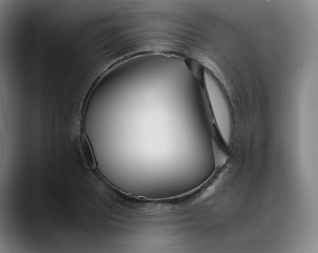 X0000089351081200707131526