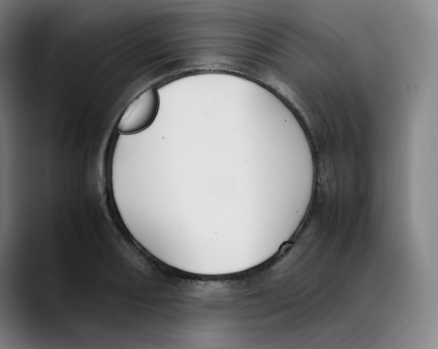 X0000089351082200707131526